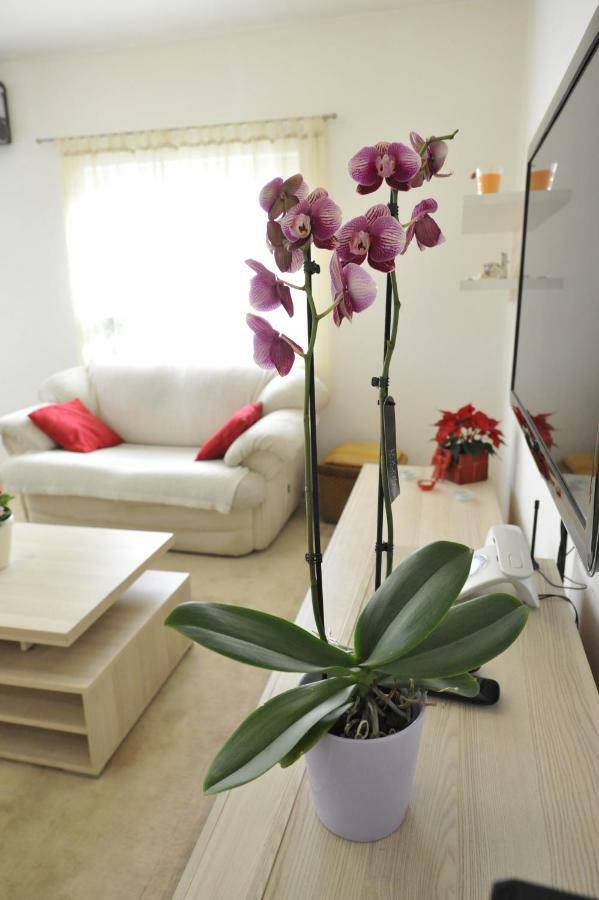 Vlatka Apartman Spalato Esterno foto